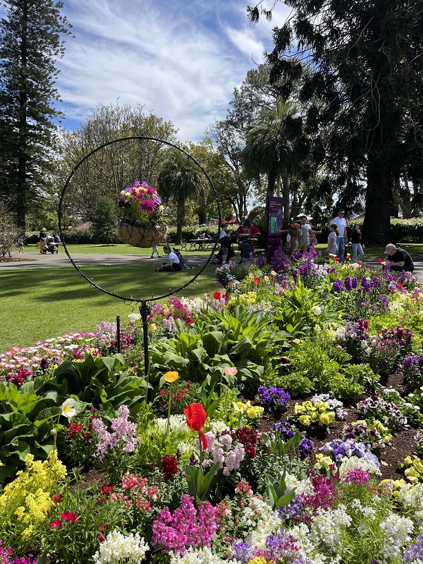 Queens Park Toowoomba, květiny
